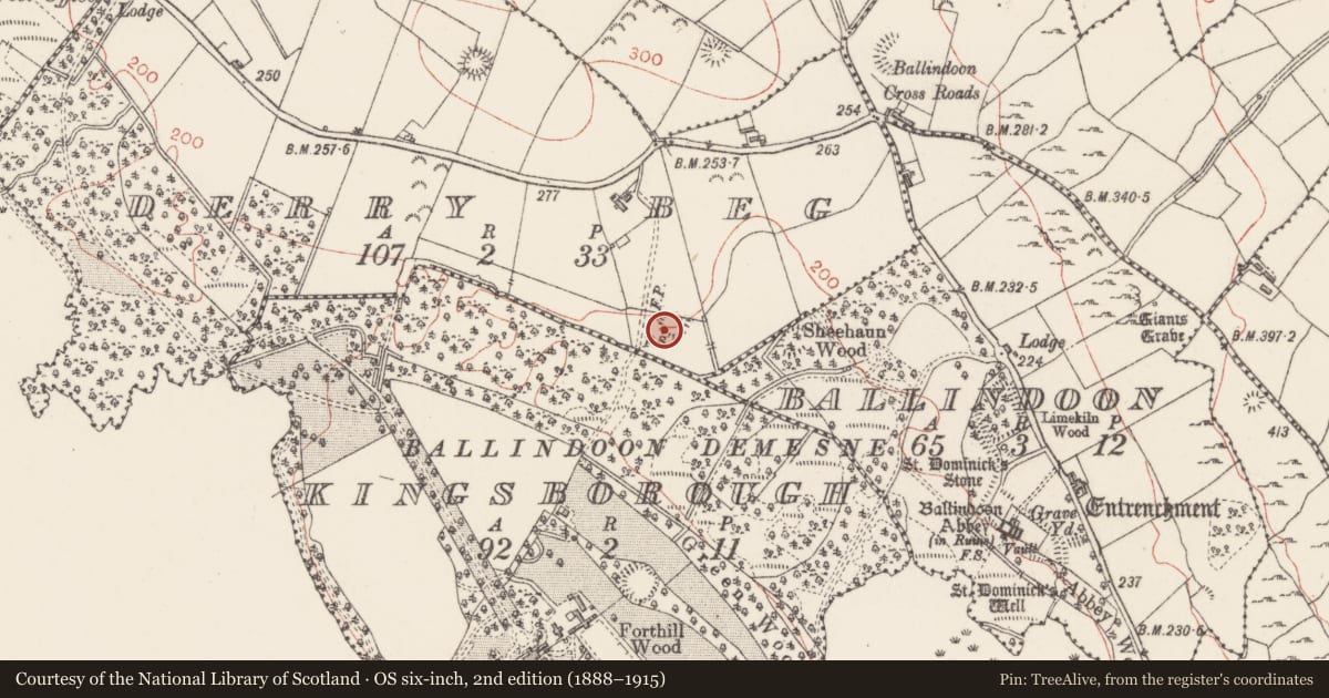 Ordnance Survey six-inch map, 2nd edition (1888–1915) covering the location of Ringfort - rath, Derry Beg, County Sligo, with a pin at the register's coordinates
