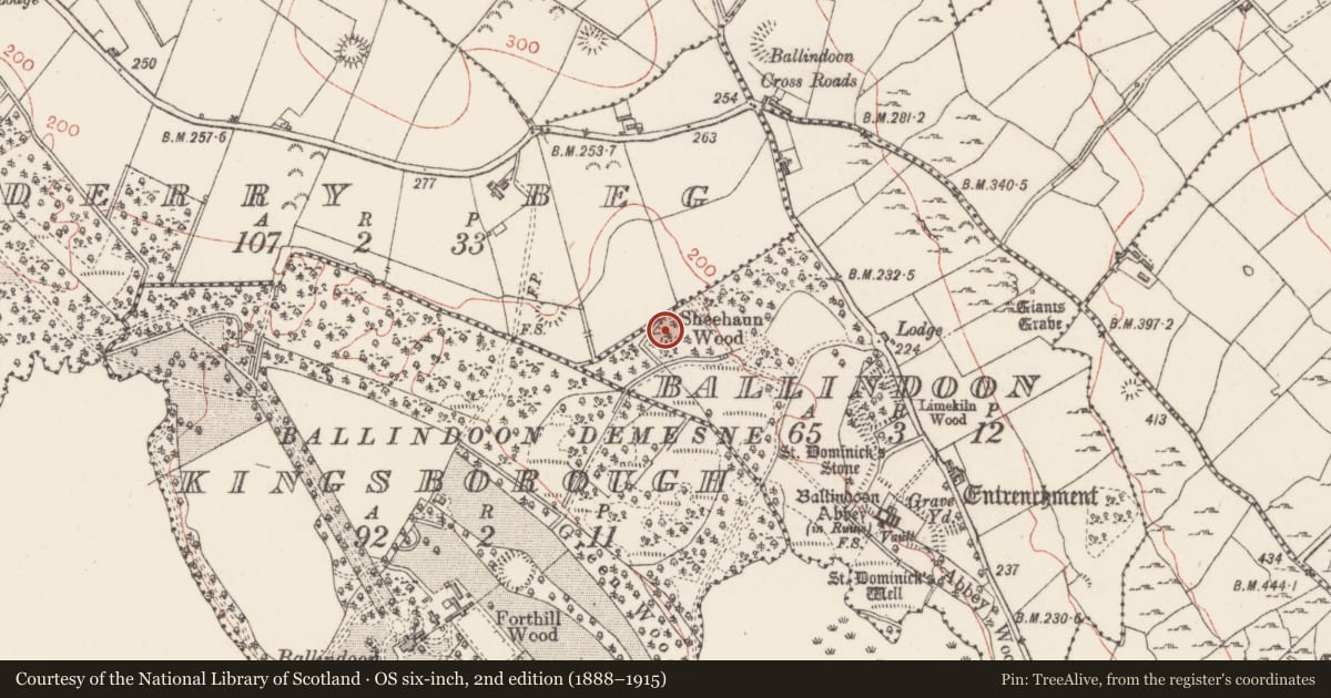 Ordnance Survey six-inch map, 2nd edition (1888–1915) covering the location of Enclosure, Ballindoon, County Sligo, with a pin at the register's coordinates