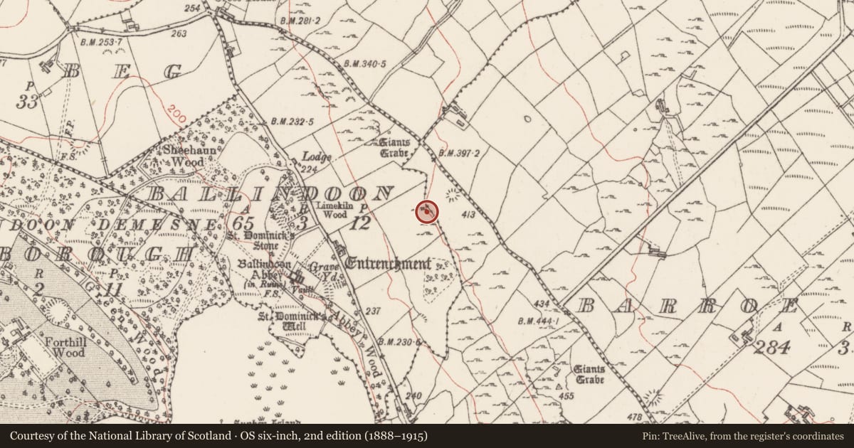 Ordnance Survey six-inch map, 2nd edition (1888–1915) covering the location of Barrow - unclassified, Barroe Lower, County Sligo, with a pin at the register's coordinates