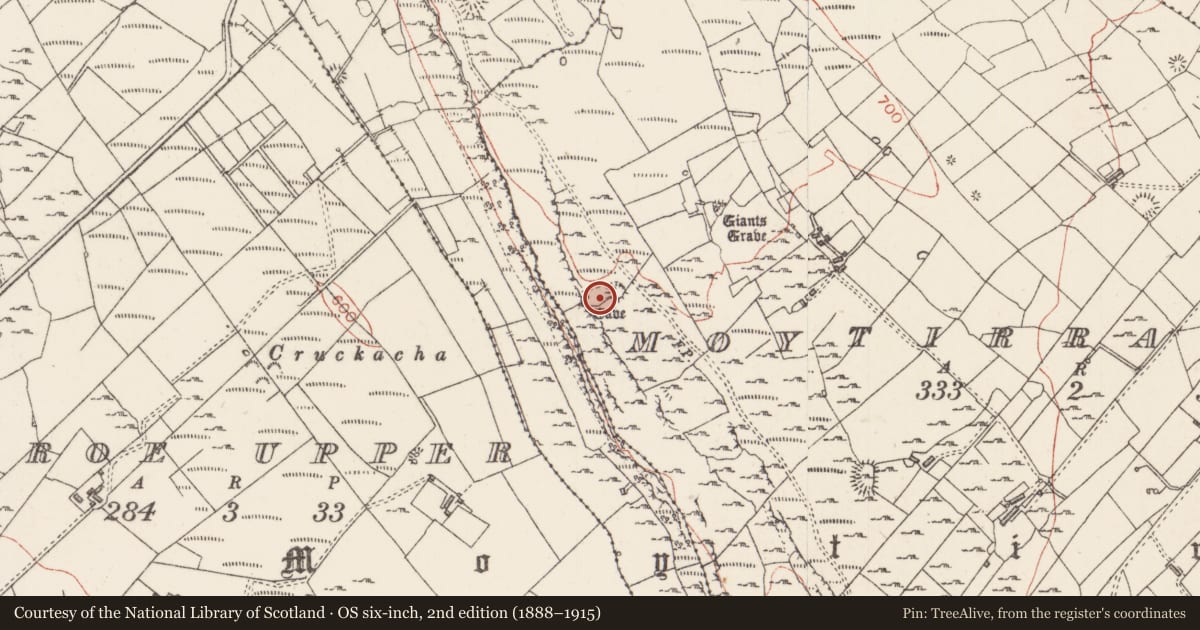 Ordnance Survey six-inch map, 2nd edition (1888–1915) covering the location of Hut site, Moytirra West, County Sligo, with a pin at the register's coordinates