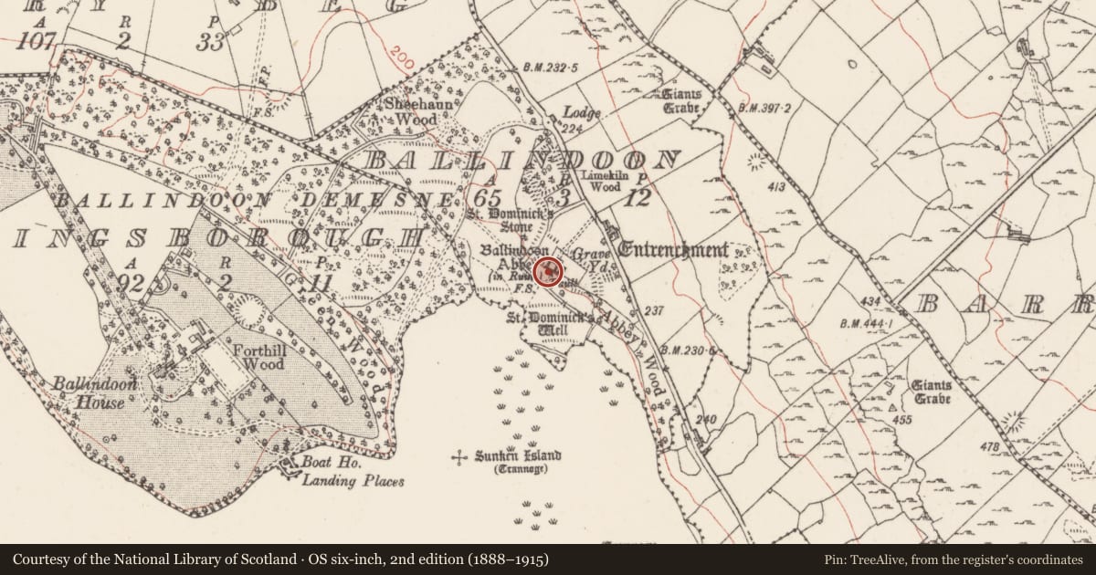 Ordnance Survey six-inch map, 2nd edition (1888–1915) covering the location of Religious house - Dominican friars, Ballindoon, County Sligo, with a pin at the register's coordinates