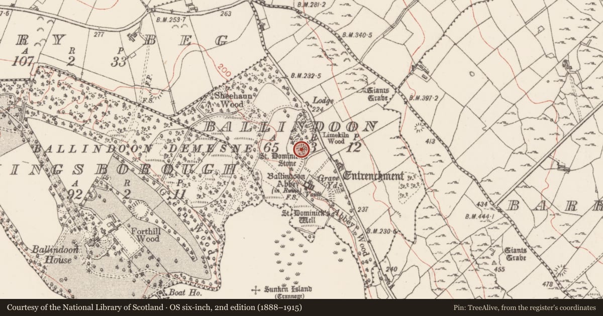 Ordnance Survey six-inch map, 2nd edition (1888–1915) covering the location of Font, Ballindoon, County Sligo, with a pin at the register's coordinates
