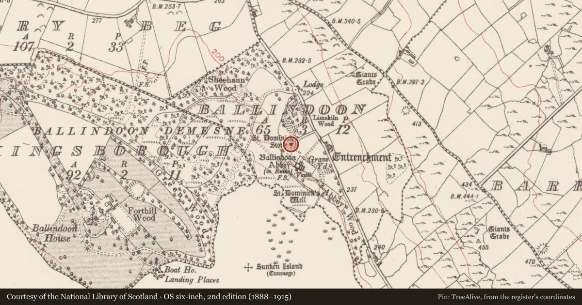 Ordnance Survey six-inch map, 2nd edition (1888–1915) covering the location of Ecclesiastical enclosure, Ballindoon, County Sligo, with a pin at the register's coordinates