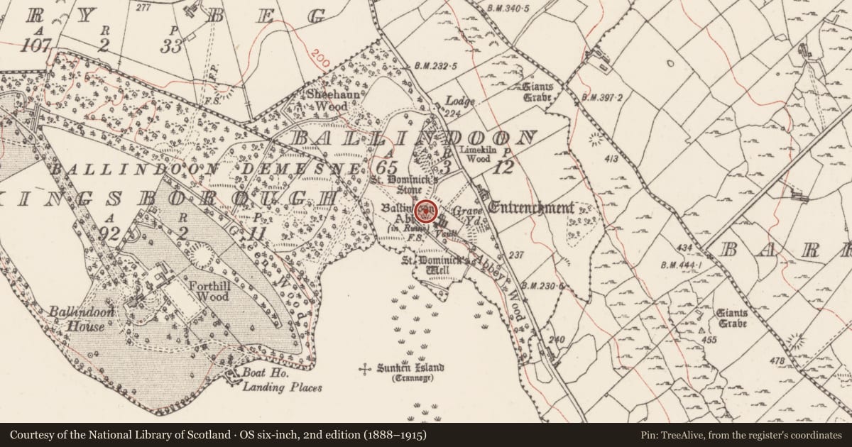 Ordnance Survey six-inch map, 2nd edition (1888–1915) covering the location of Enclosure, Ballindoon, County Sligo, with a pin at the register's coordinates