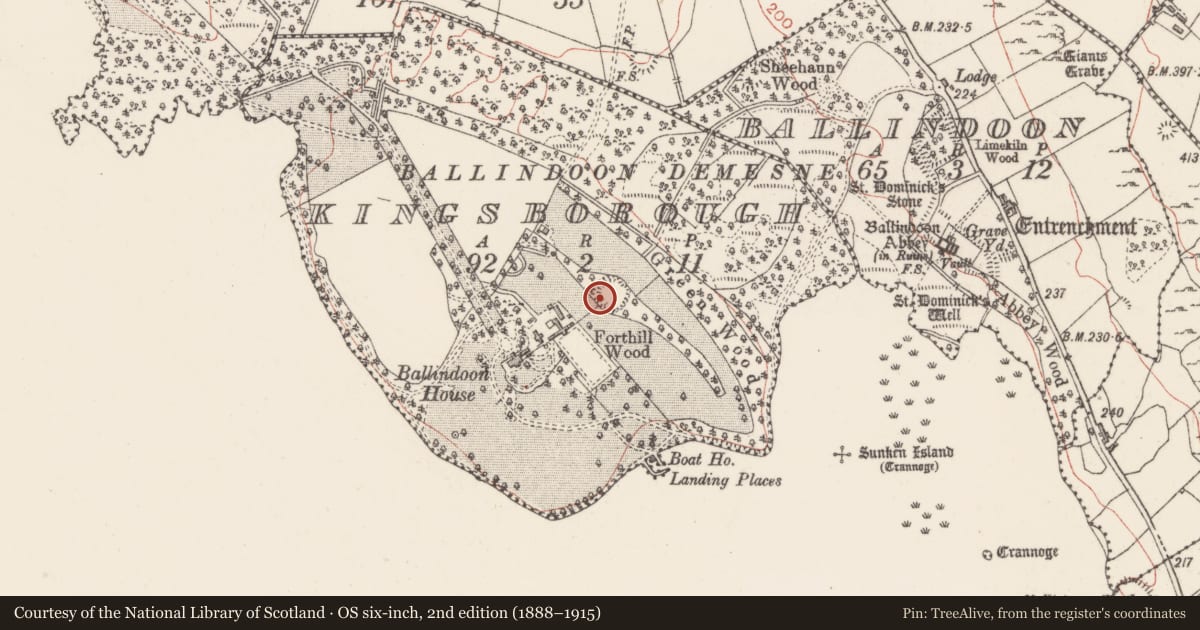 Ordnance Survey six-inch map, 2nd edition (1888–1915) covering the location of Ringfort - rath, Kingsborough, County Sligo, with a pin at the register's coordinates