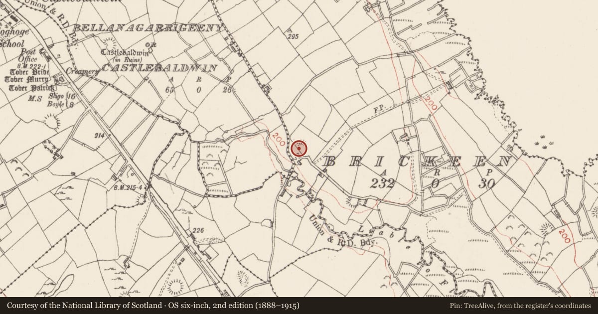 Ordnance Survey six-inch map, 2nd edition (1888–1915) covering the location of Enclosure, Brickeen, County Sligo, with a pin at the register's coordinates