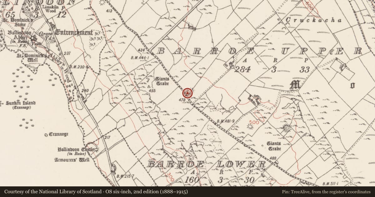 Ordnance Survey six-inch map, 2nd edition (1888–1915) covering the location of Ringfort - rath, Barroe Upper, County Sligo, with a pin at the register's coordinates