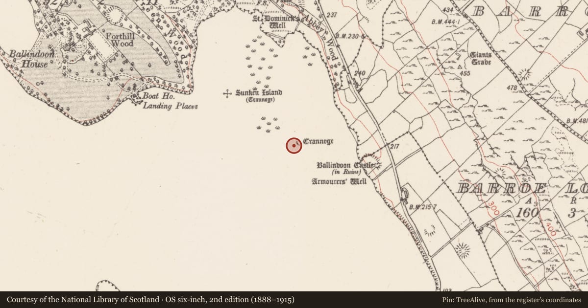 Ordnance Survey six-inch map, 2nd edition (1888–1915) covering the location of Hut site, Lough Arrow, County Sligo, with a pin at the register's coordinates