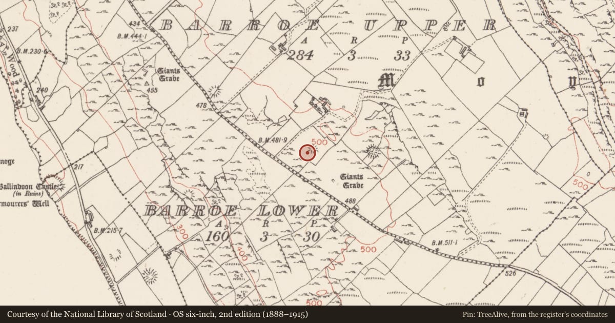 Ordnance Survey six-inch map, 2nd edition (1888–1915) covering the location of Enclosure, Barroe Upper, County Sligo, with a pin at the register's coordinates