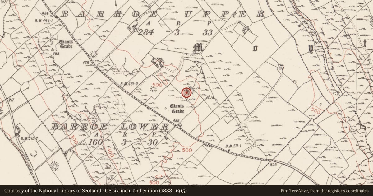 Ordnance Survey six-inch map, 2nd edition (1888–1915) covering the location of Ringfort - cashel, Barroe Upper, County Sligo, with a pin at the register's coordinates