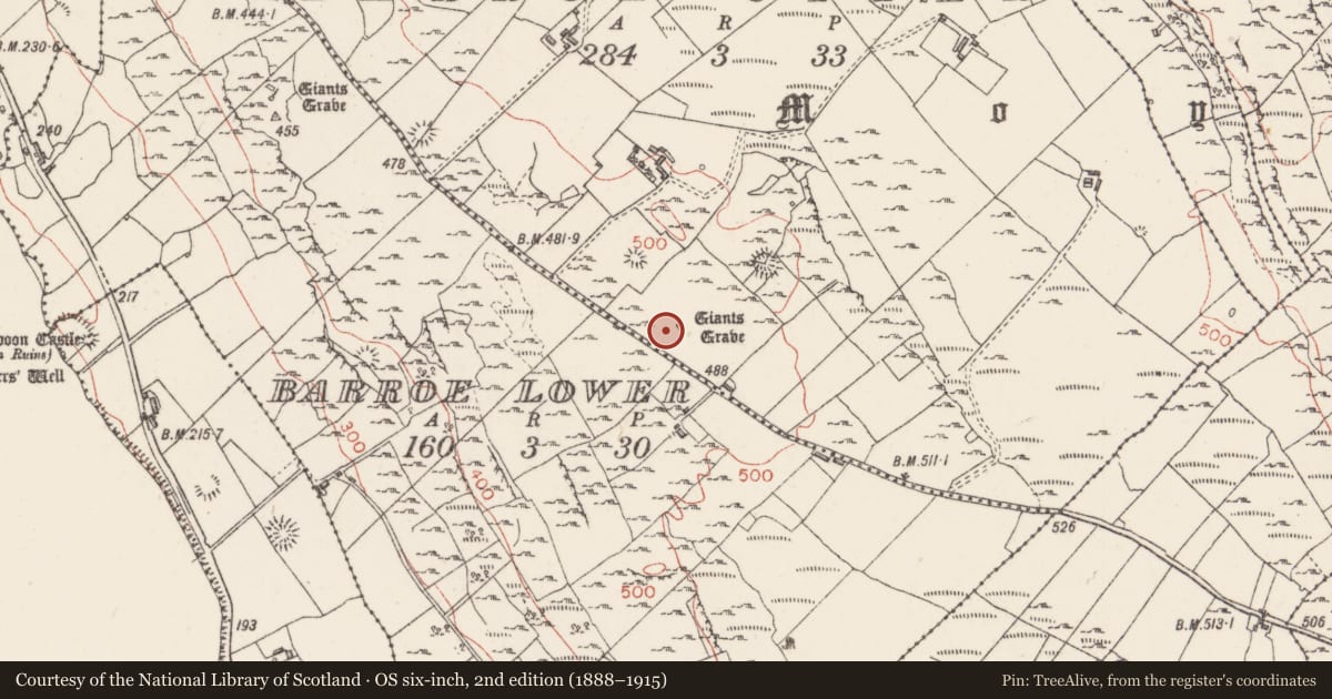 Ordnance Survey six-inch map, 2nd edition (1888–1915) covering the location of Megalithic tomb - wedge tomb, Barroe Upper, County Sligo, with a pin at the register's coordinates