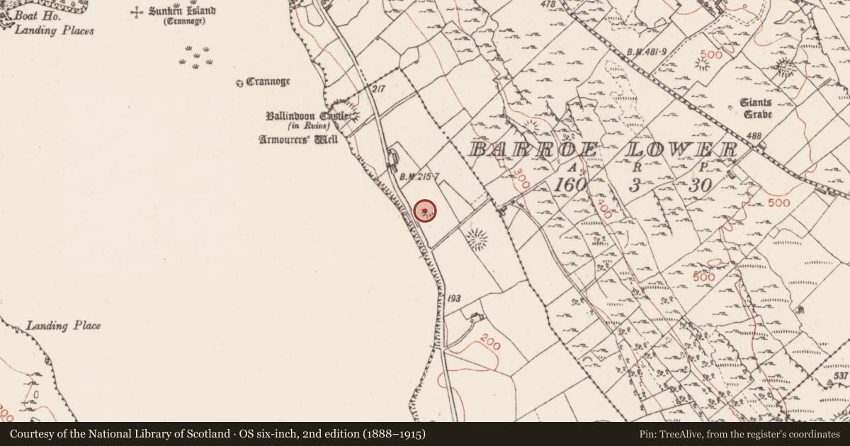 Ordnance Survey six-inch map, 2nd edition (1888–1915) covering the location of Ringfort - rath, Barroe South, County Sligo, with a pin at the register's coordinates