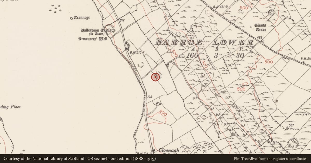 Ordnance Survey six-inch map, 2nd edition (1888–1915) covering the location of Ringfort - rath, Barroe South, County Sligo, with a pin at the register's coordinates