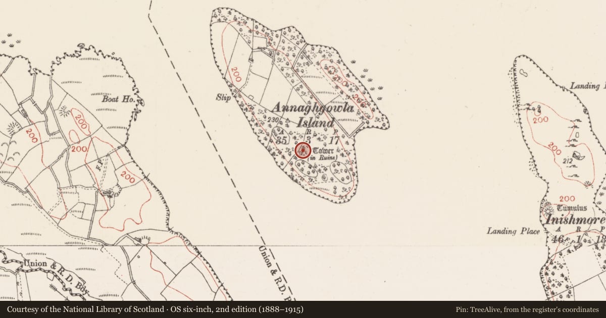 Ordnance Survey six-inch map, 2nd edition (1888–1915) covering the location of Structure, Annaghgowla Island, County Sligo, with a pin at the register's coordinates