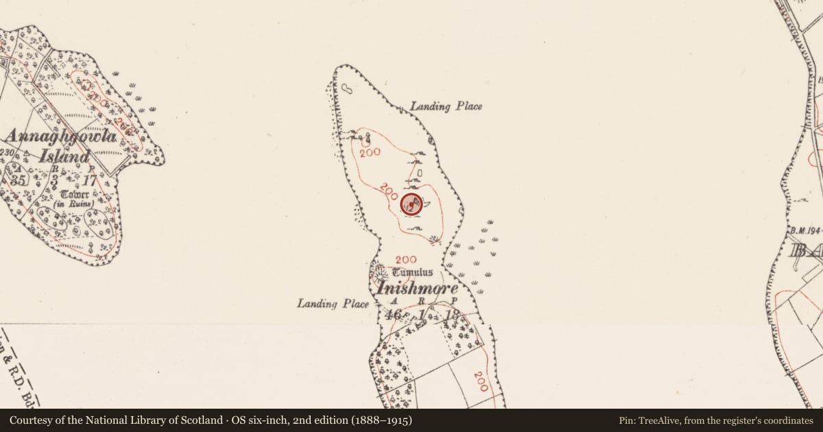 Ordnance Survey six-inch map, 2nd edition (1888–1915) covering the location of Designed landscape feature, Inishmore Island, County Sligo, with a pin at the register's coordinates