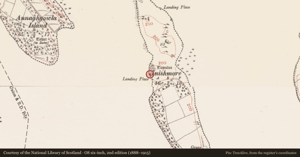 Ordnance Survey six-inch map, 2nd edition (1888–1915) covering the location of Castle - motte and bailey, Inishmore Island, County Sligo, with a pin at the register's coordinates
