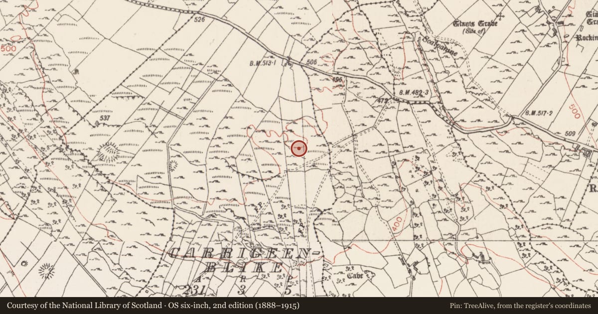 Ordnance Survey six-inch map, 2nd edition (1888–1915) covering the location of Barrow - mound barrow, Carrigeenblike, County Sligo, with a pin at the register's coordinates