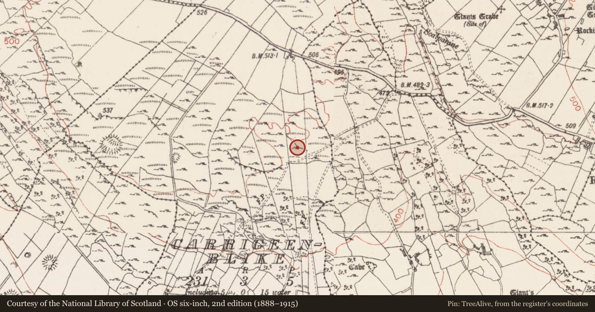 Ordnance Survey six-inch map, 2nd edition (1888–1915) covering the location of Field system, Carrigeenblike, County Sligo, with a pin at the register's coordinates