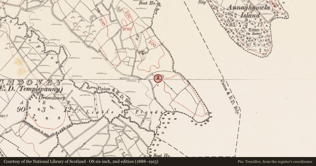 Ordnance Survey six-inch map, 2nd edition (1888–1915) covering the location of Ringfort - rath, Brickeen, County Sligo, with a pin at the register's coordinates