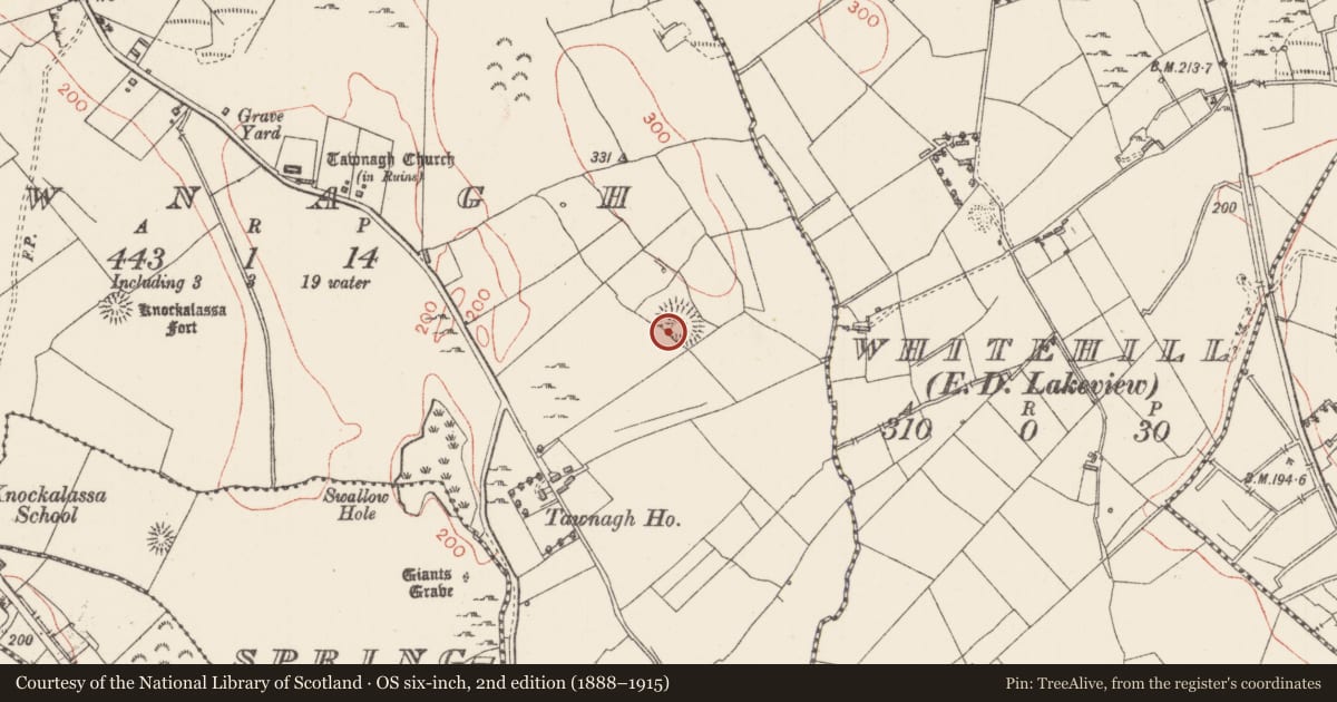 Ordnance Survey six-inch map, 2nd edition (1888–1915) covering the location of Ringfort - rath, Tawnagh, County Sligo, with a pin at the register's coordinates