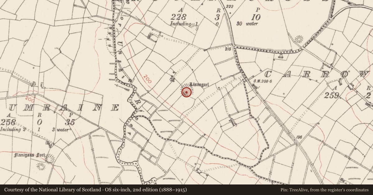 Ordnance Survey six-inch map, 2nd edition (1888–1915) covering the location of Ringfort - rath, Knocknacross, County Sligo, with a pin at the register's coordinates