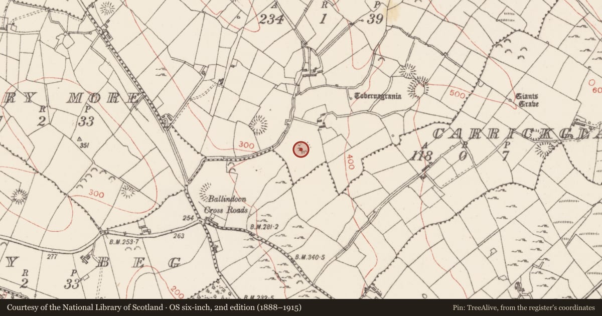 Ordnance Survey six-inch map, 2nd edition (1888–1915) covering the location of Ringfort - rath, Lahardan, County Sligo, with a pin at the register's coordinates