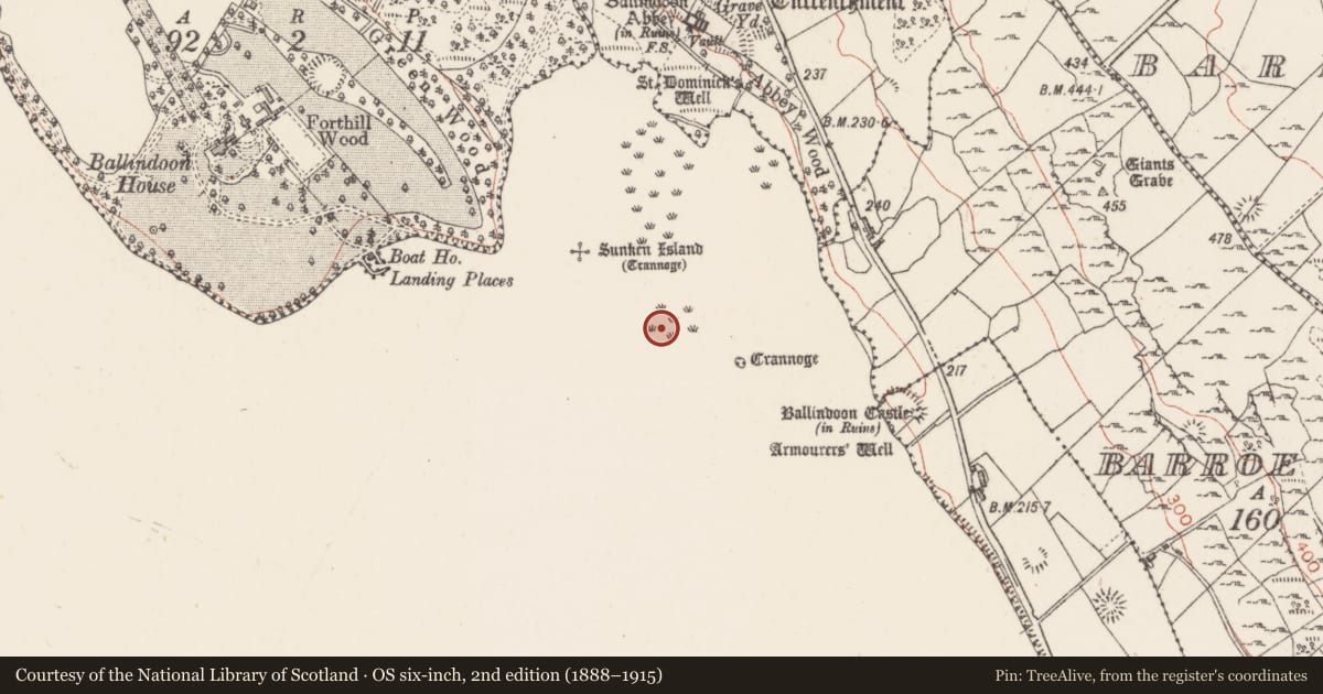 Ordnance Survey six-inch map, 2nd edition (1888–1915) covering the location of Crannog, Lough Arrow, County Sligo, with a pin at the register's coordinates