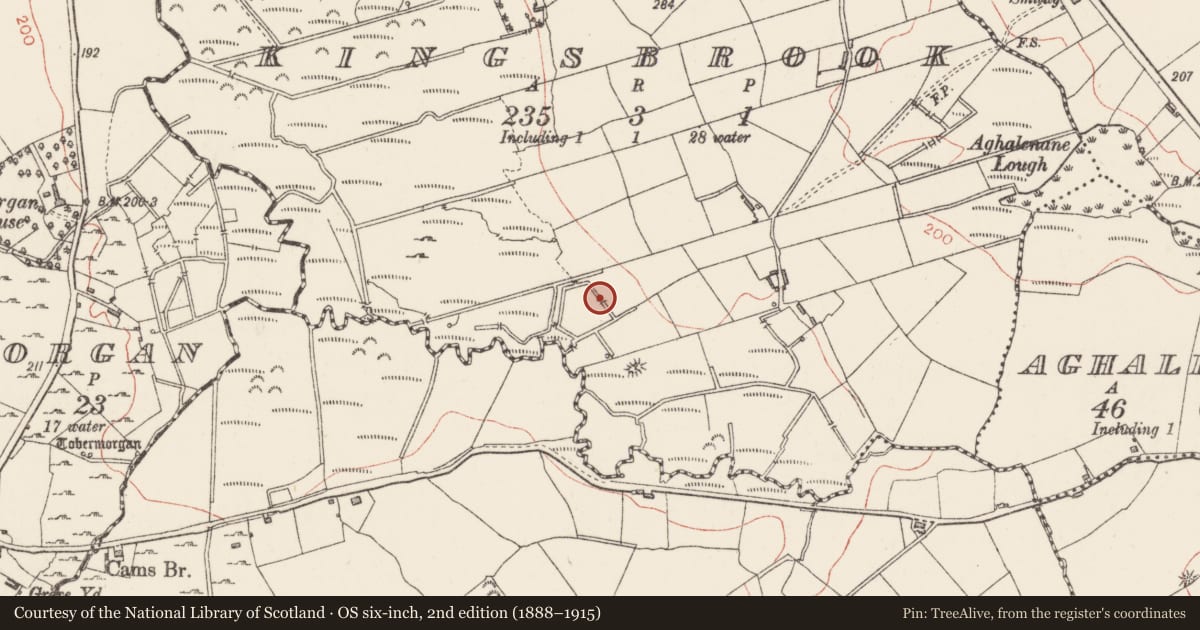 Ordnance Survey six-inch map, 2nd edition (1888–1915) covering the location of Fulacht fia, Kingsbrook, County Sligo, with a pin at the register's coordinates