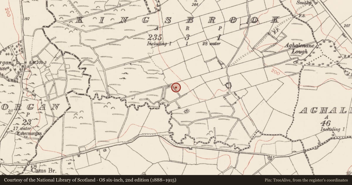 Ordnance Survey six-inch map, 2nd edition (1888–1915) covering the location of Fulacht fia, Kingsbrook, County Sligo, with a pin at the register's coordinates