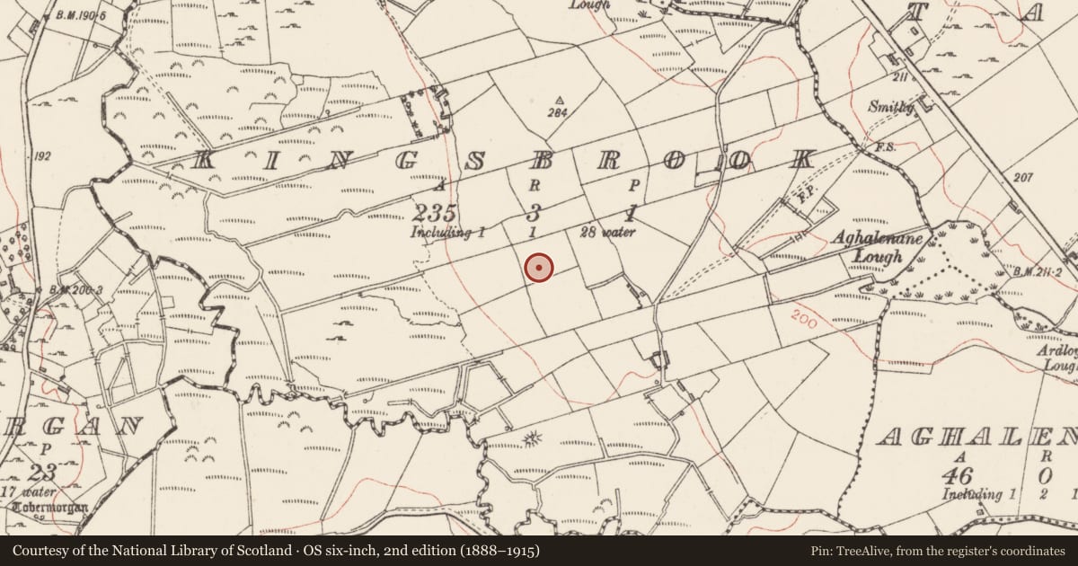 Ordnance Survey six-inch map, 2nd edition (1888–1915) covering the location of Ringfort - rath, Kingsbrook, County Sligo, with a pin at the register's coordinates