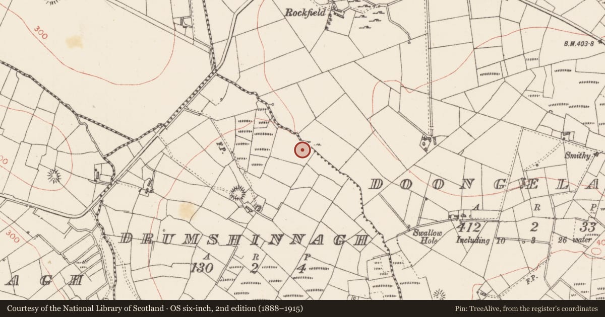 Ordnance Survey six-inch map, 2nd edition (1888–1915) covering the location of Sweathouse, Drumshinnagh, County Sligo, with a pin at the register's coordinates