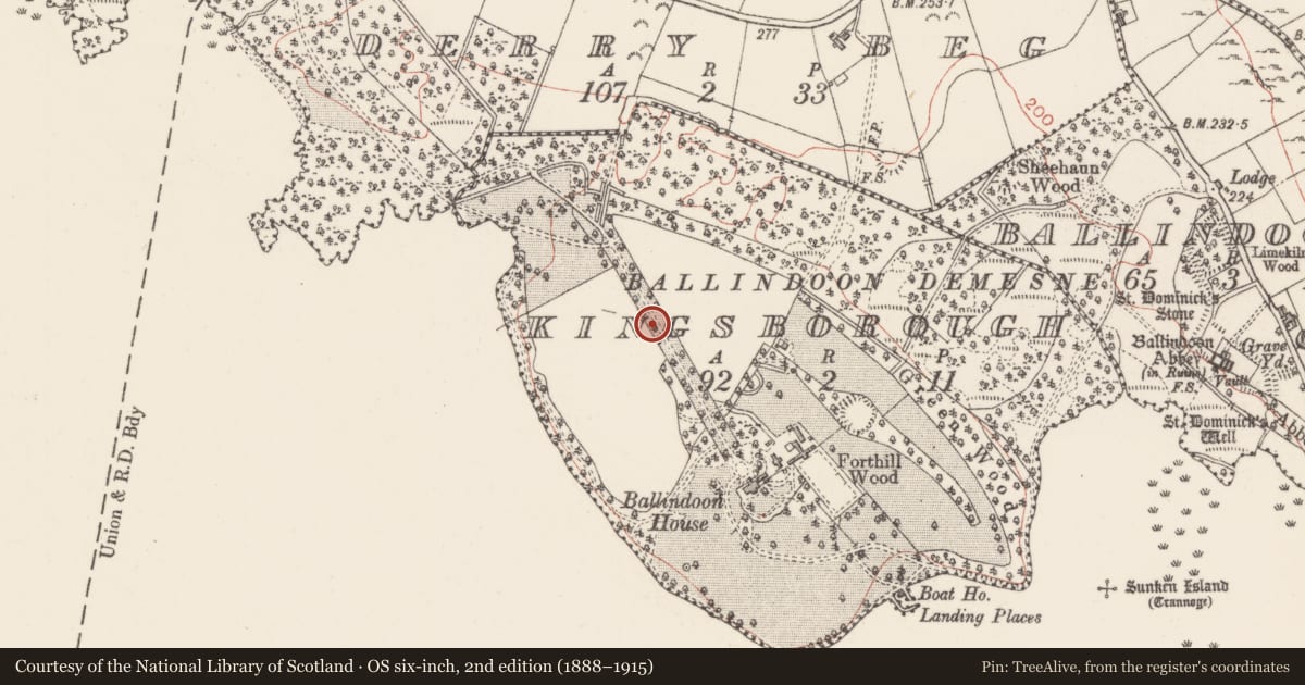 Ordnance Survey six-inch map, 2nd edition (1888–1915) covering the location of Designed landscape - avenue, Kingsborough, County Sligo, with a pin at the register's coordinates
