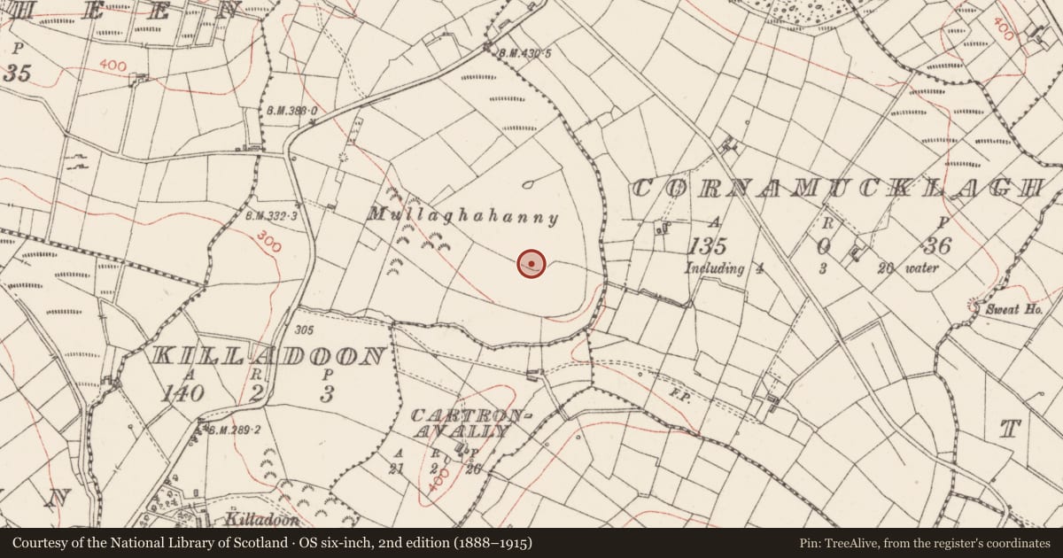 Ordnance Survey six-inch map, 2nd edition (1888–1915) covering the location of Ringfort - rath, Killadoon, County Sligo, with a pin at the register's coordinates