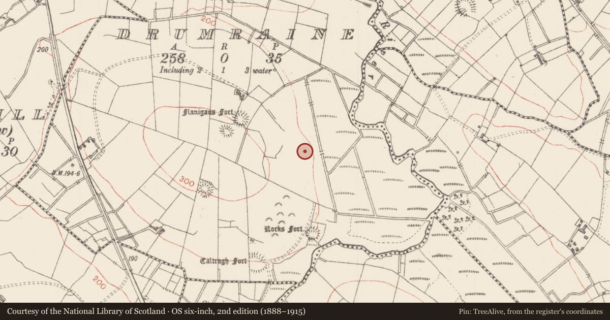 Ordnance Survey six-inch map, 2nd edition (1888–1915) covering the location of Enclosure, Drumraine, County Sligo, with a pin at the register's coordinates