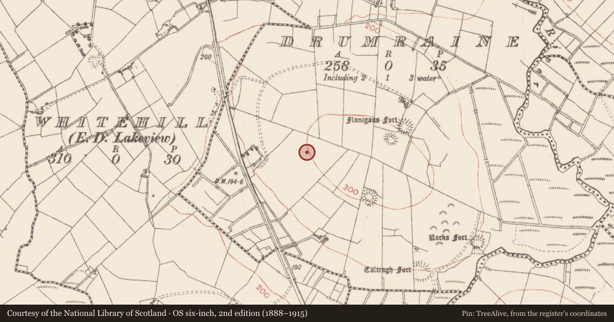 Ordnance Survey six-inch map, 2nd edition (1888–1915) covering the location of Enclosure, Drumraine, County Sligo, with a pin at the register's coordinates