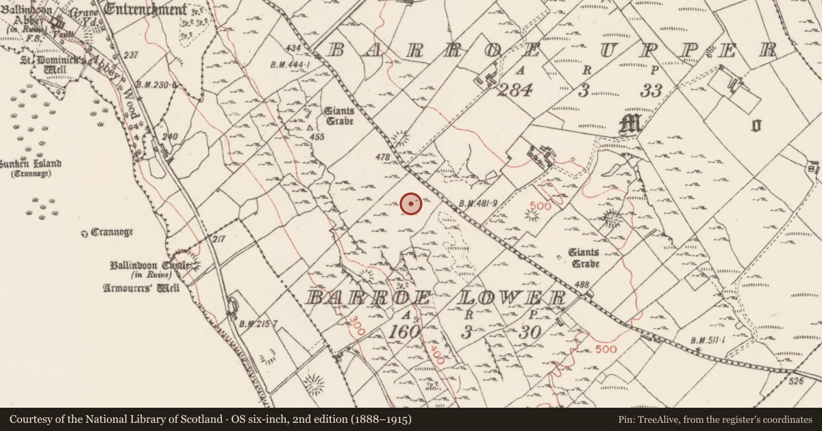Ordnance Survey six-inch map, 2nd edition (1888–1915) covering the location of Enclosure, Barroe Lower, County Sligo, with a pin at the register's coordinates