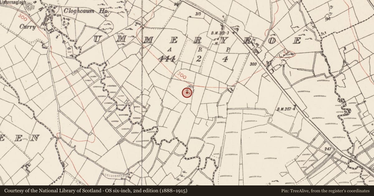 Ordnance Survey six-inch map, 2nd edition (1888–1915) covering the location of Ringfort - rath, Ummeryroe, County Sligo, with a pin at the register's coordinates