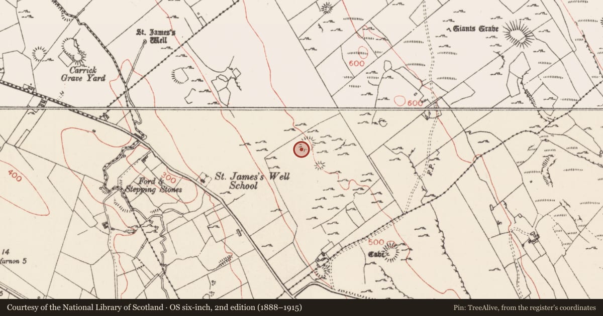 Ordnance Survey six-inch map, 2nd edition (1888–1915) covering the location of Ringfort - cashel, Carrowmore, County Sligo, with a pin at the register's coordinates