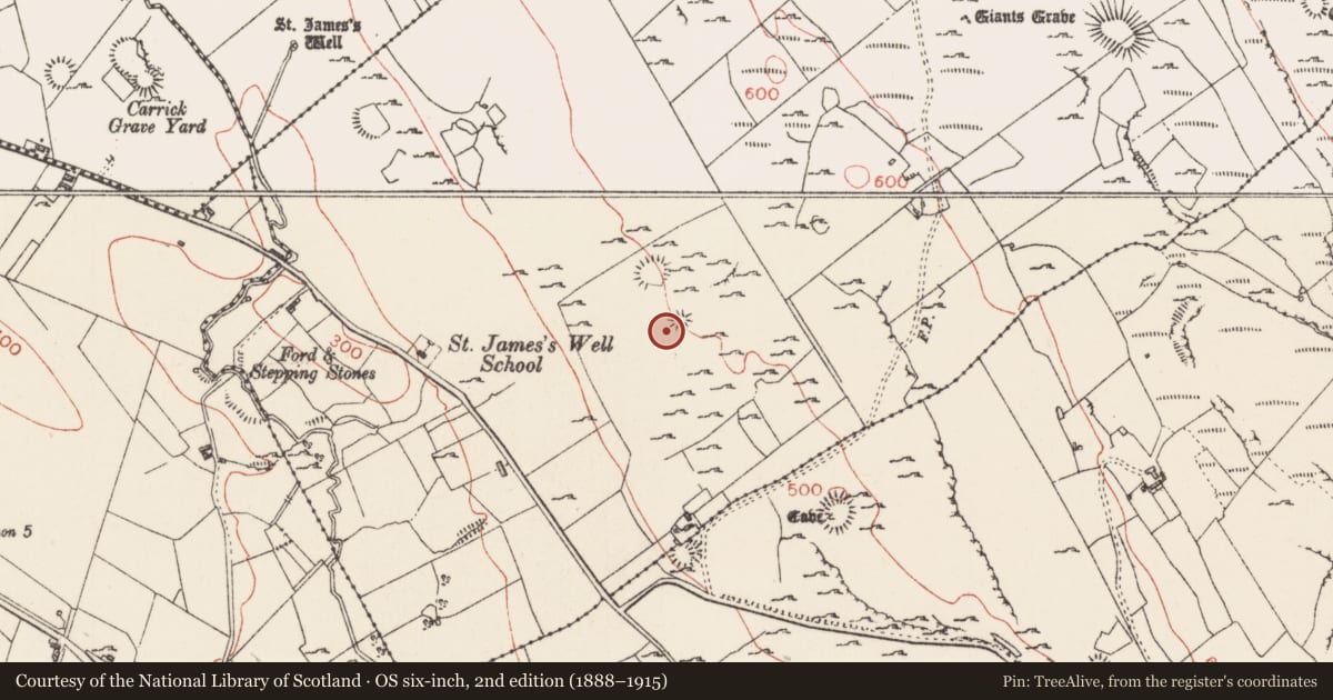 Ordnance Survey six-inch map, 2nd edition (1888–1915) covering the location of Hut site, Carrowmore, County Sligo, with a pin at the register's coordinates