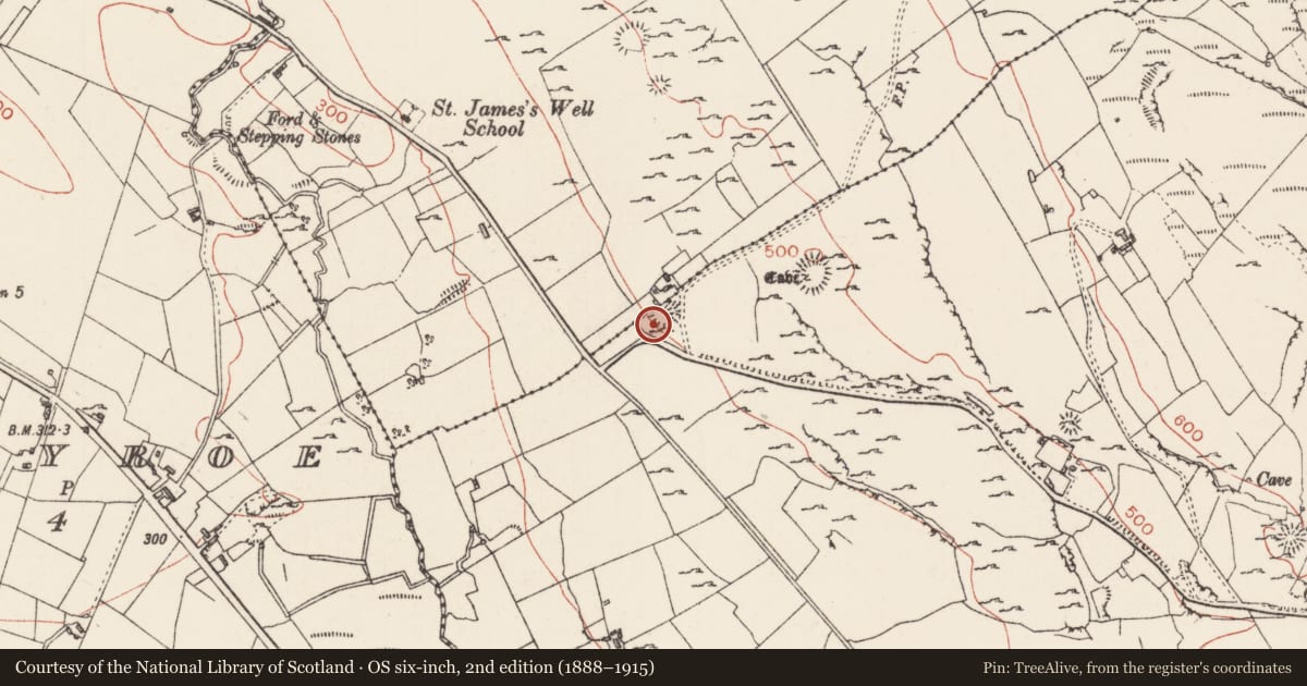 Ordnance Survey six-inch map, 2nd edition (1888–1915) covering the location of Ringfort - rath, Carrownadargny, County Sligo, with a pin at the register's coordinates