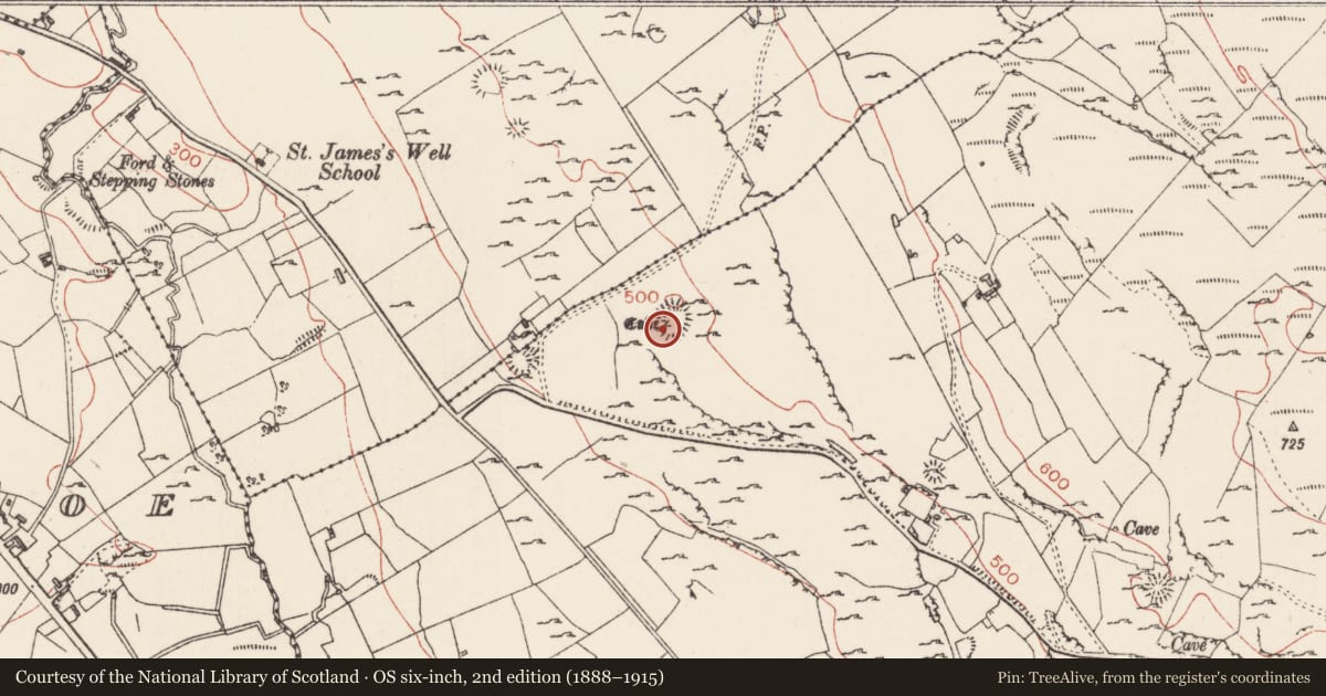 Ordnance Survey six-inch map, 2nd edition (1888–1915) covering the location of Ringfort - cashel, Carrownadargny, County Sligo, with a pin at the register's coordinates