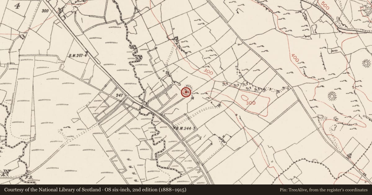 Ordnance Survey six-inch map, 2nd edition (1888–1915) covering the location of Ringfort - rath, Carrownadargny, County Sligo, with a pin at the register's coordinates