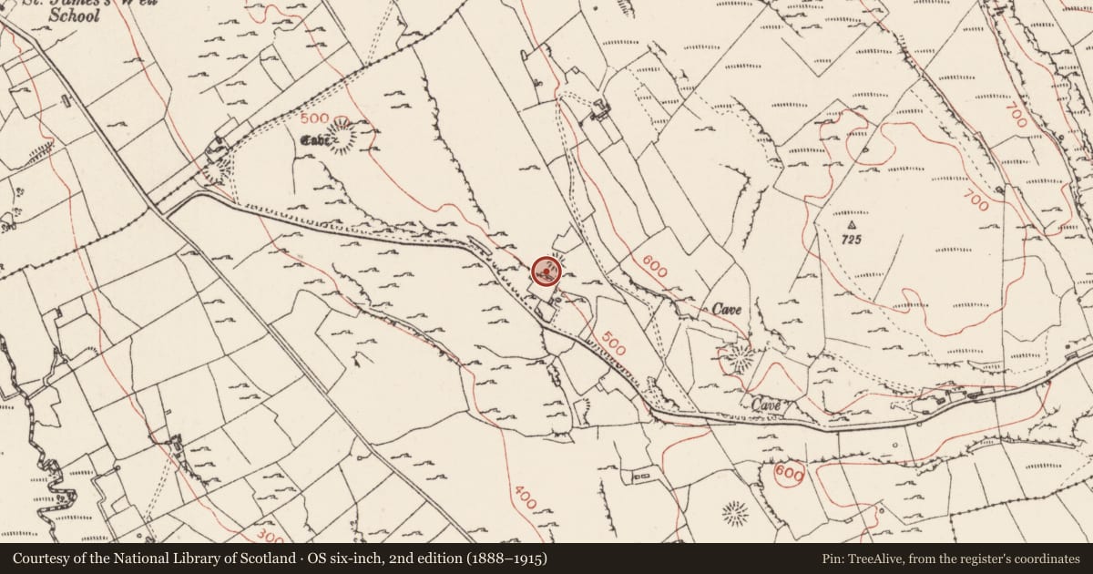 Ordnance Survey six-inch map, 2nd edition (1888–1915) covering the location of Ringfort - rath, Carrownadargny, County Sligo, with a pin at the register's coordinates