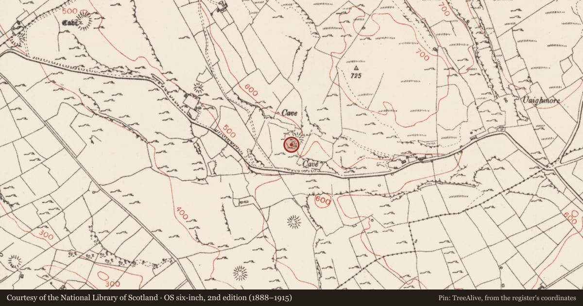 Ordnance Survey six-inch map, 2nd edition (1888–1915) covering the location of Ringfort - cashel, Carrownadargny, County Sligo, with a pin at the register's coordinates