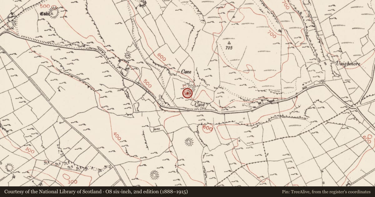 Ordnance Survey six-inch map, 2nd edition (1888–1915) covering the location of House - early medieval, Carrownadargny, County Sligo, with a pin at the register's coordinates