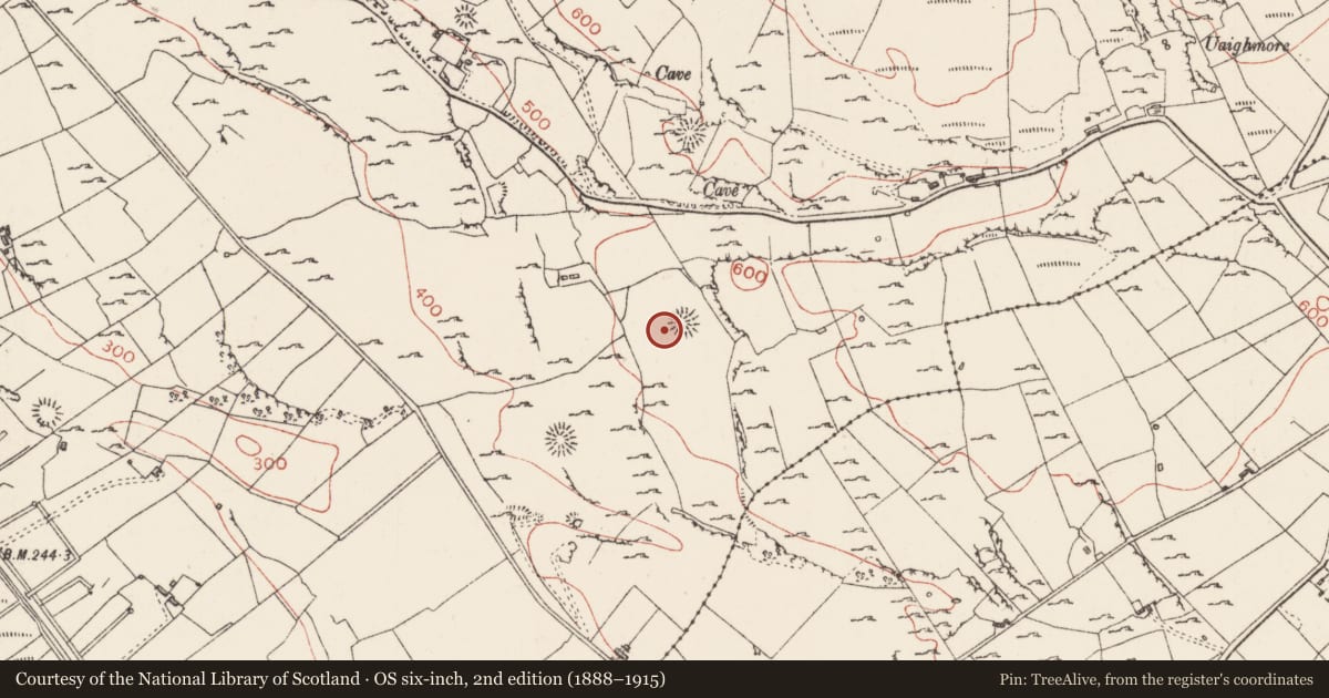 Ordnance Survey six-inch map, 2nd edition (1888–1915) covering the location of Ringfort - rath, Carrownadargny, County Sligo, with a pin at the register's coordinates