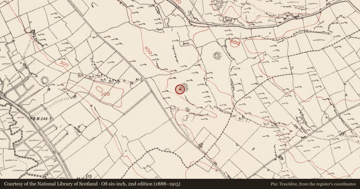 Ordnance Survey six-inch map, 2nd edition (1888–1915) covering the location of Ringfort - rath, Carrownadargny, County Sligo, with a pin at the register's coordinates