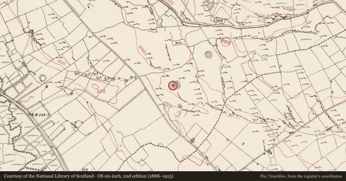 Ordnance Survey six-inch map, 2nd edition (1888–1915) covering the location of Hut site, Carrownadargny, County Sligo, with a pin at the register's coordinates