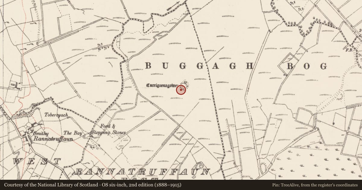 Ordnance Survey six-inch map, 2nd edition (1888–1915) covering the location of Ringfort - cashel, Rannatruffaun East, County Sligo, with a pin at the register's coordinates