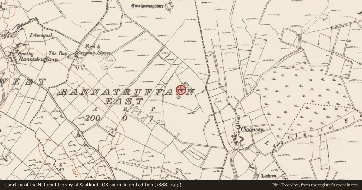 Ordnance Survey six-inch map, 2nd edition (1888–1915) covering the location of Ringfort - cashel, Rannatruffaun East, County Sligo, with a pin at the register's coordinates